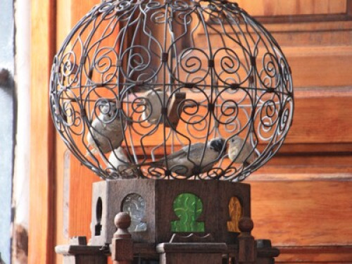 Beautiful Room in Typical House! - Gallery - 36