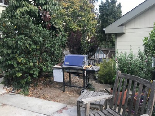 Sunny studio unit w/private entry - Gallery - 21