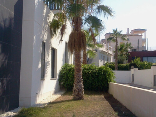 House for golfers (urb.Villamartin) - Gallery - 6