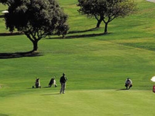 House for golfers (urb.Villamartin) - Gallery - 15