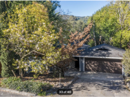 Lovely Home in a Wooded Setting - Gallery - 8