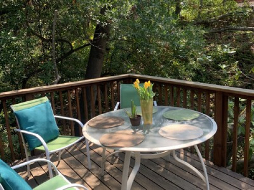 Lovely Home in a Wooded Setting - Gallery - 6