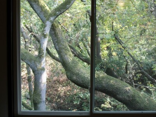 Lovely Home in a Wooded Setting