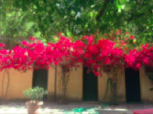 cozy  colourful apartment in garden