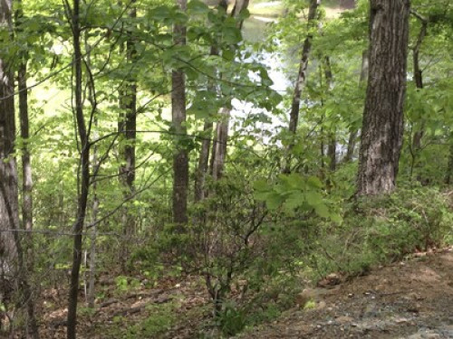 CVille Mtn and Waterfront 