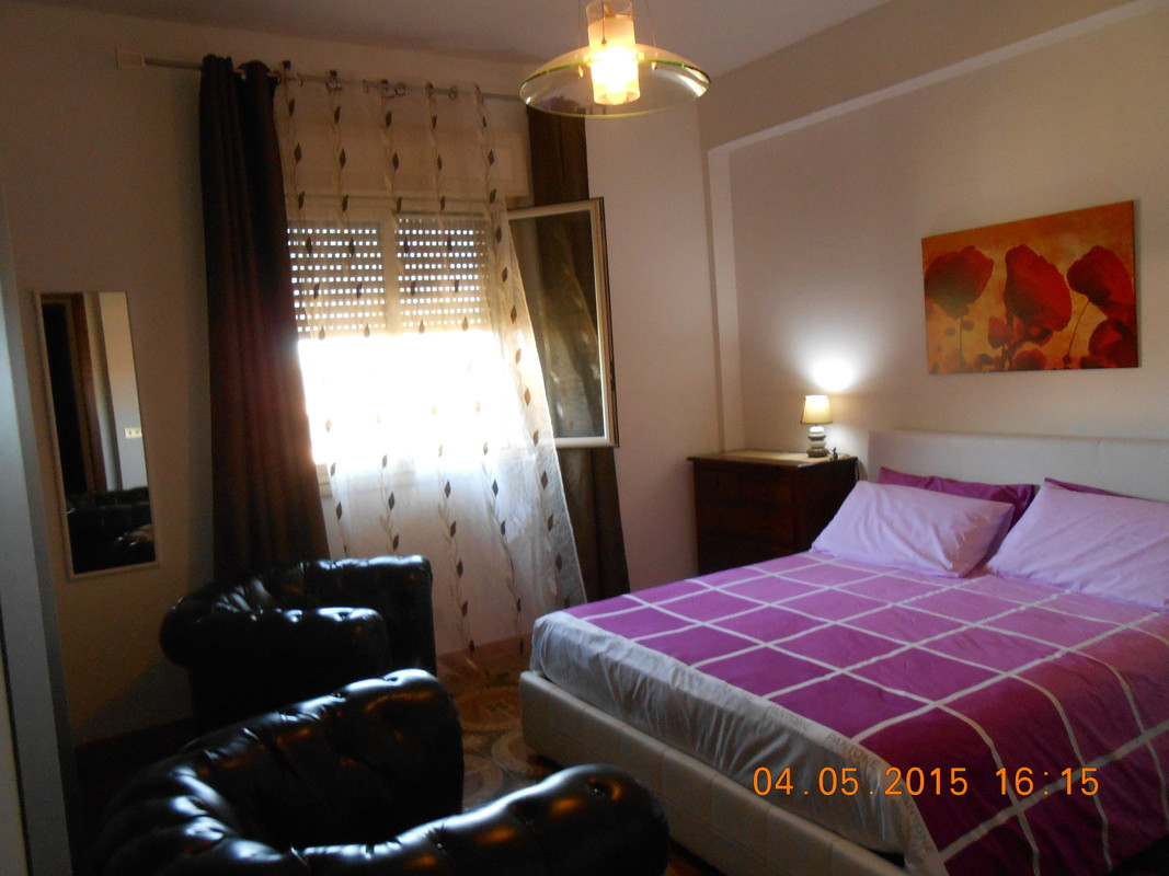 Modern House(Single Bed) - 1