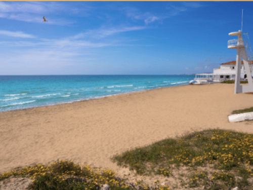 *World Heritage* Beaches & Airport - Gallery - 8
