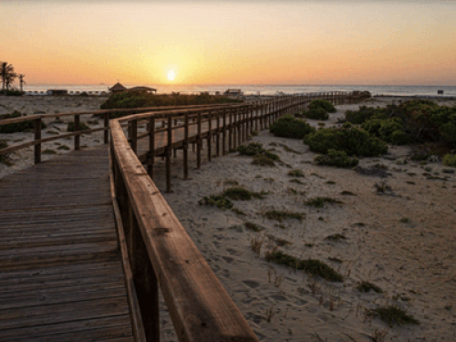*World Heritage* Beaches & Airport - Gallery - 10