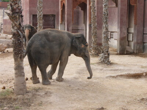 Beach, mountain and quiet: B & B