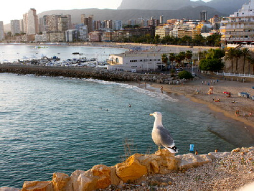 Beach, mountain and quiet: B & B