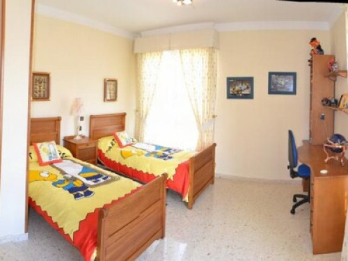 Learn Spanish in Benidorm  - Gallery -  5