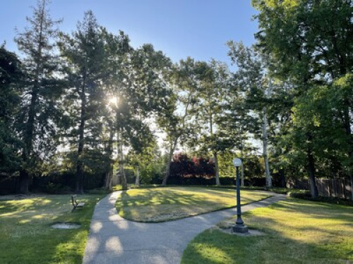 Experience Local California Life