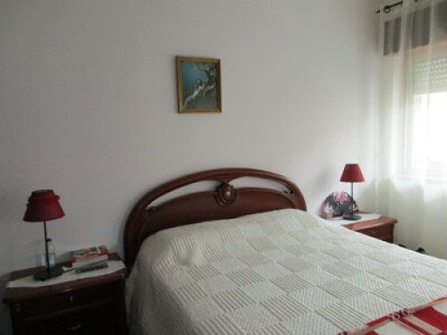 Relaxed and welcoming family. - Gallery - 22