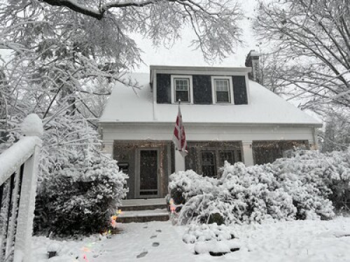 Cozy Bungalow in Takoma, DC