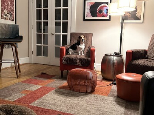 Cozy Bungalow in Takoma, DC