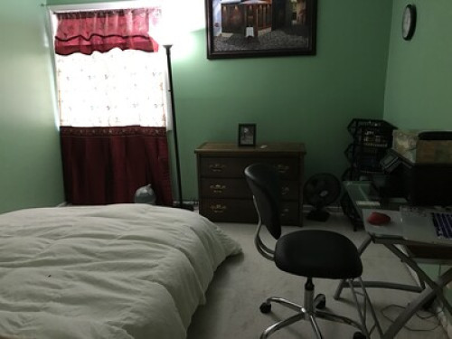Friendly small family in Maryland  - Gallery -  5