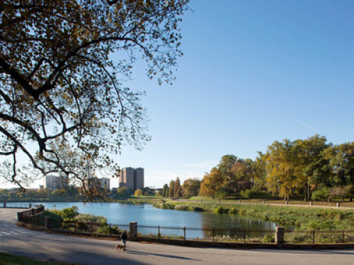 Historic Park Avenue - Gallery - 9
