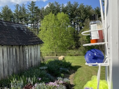 Country Home Close to Town  - Gallery -  3