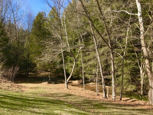 Stream View Room 