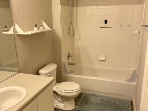A beautiful home need a  roommate