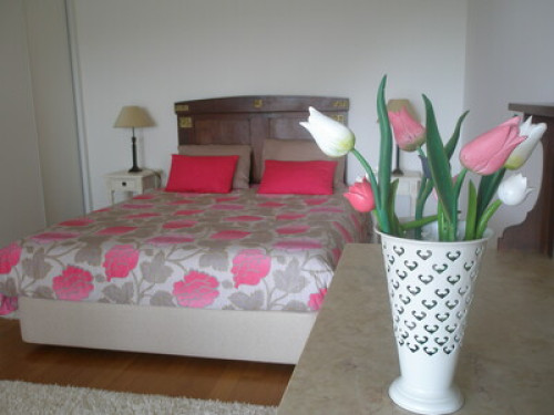 A Room with a View  - Gallery -  5
