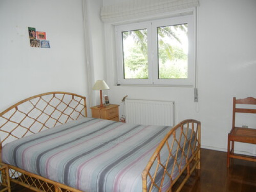 A Room with a View - Gallery - 6