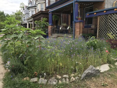 sunny-room-in-community-house-philadelphia-142760982220240814082748PM