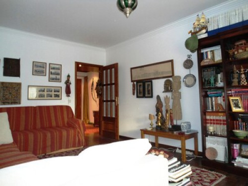 Relaxed and traveler Owner