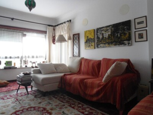 Relaxed and traveler Owner