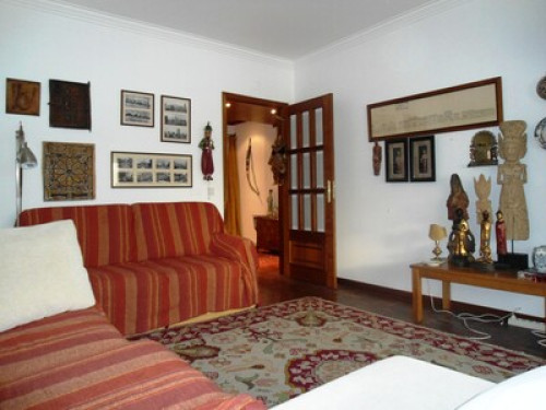 Relaxed and traveler Owner