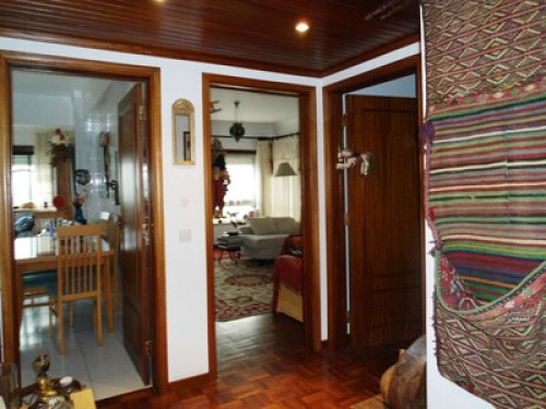 Relaxed and traveler Owner  - Gallery -  5