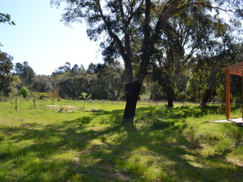 Wooden house in nature - Gallery - 13