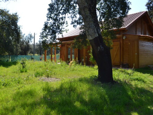 Wooden house in nature