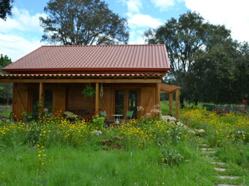 Wooden house in nature - Gallery - 25