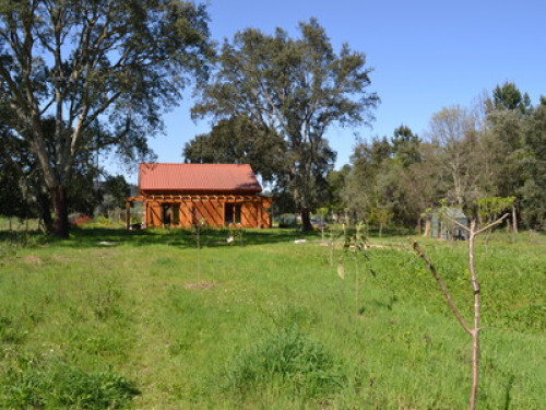 Wooden house in nature - Gallery - 9