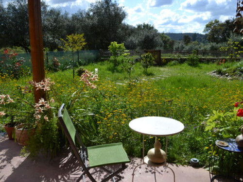 Wooden house in nature