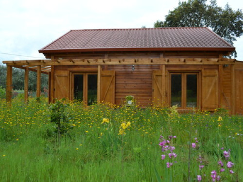 Wooden house in nature - Gallery - 8