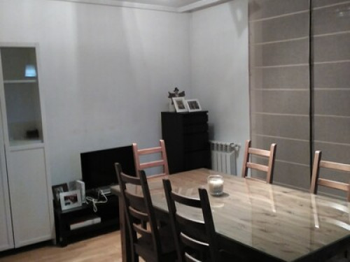 Bright room overlooking the garden