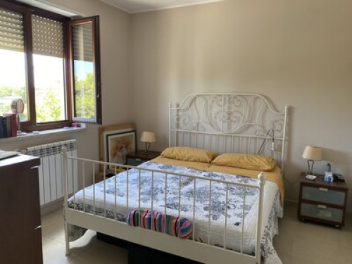 Blue House - Gallery - 11
