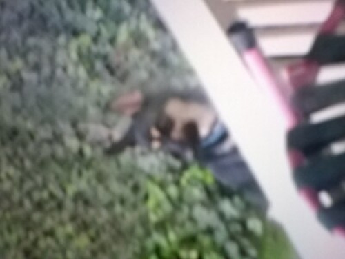 Includes a bedroom and sitting room