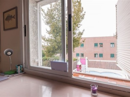 Rent a room in a house with garden