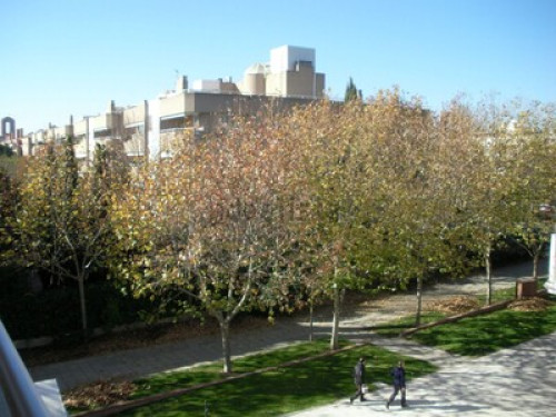 Family athlete residential area  - Gallery -  5