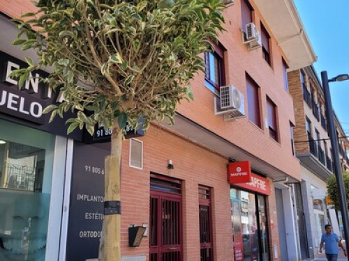 Habiación en duplex bien comunicado