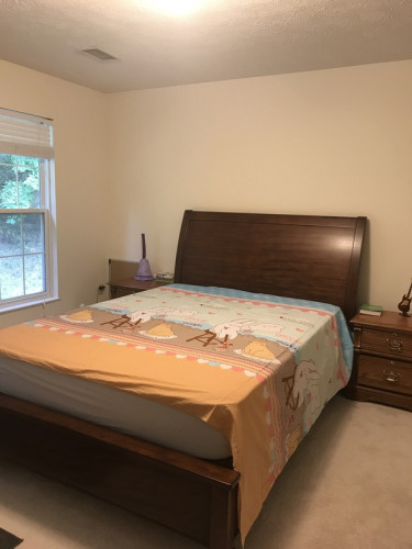 Oakleaf - Gallery - 5