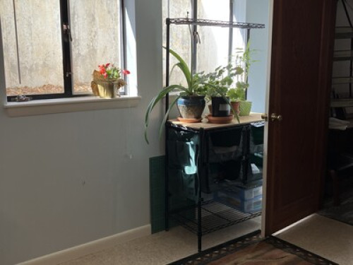 Airy & Bright, central location