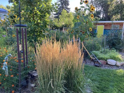 Airy & Bright, central location