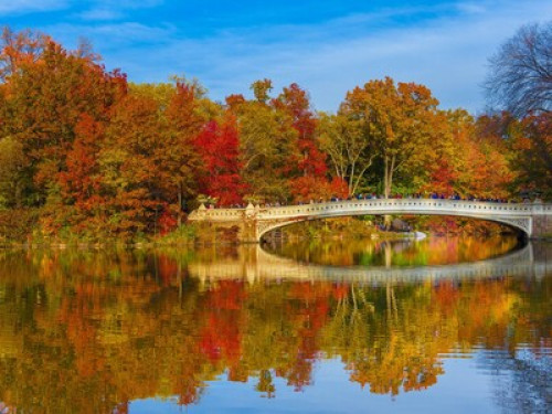 Gratitude is the key to happiness! - Gallery - 47