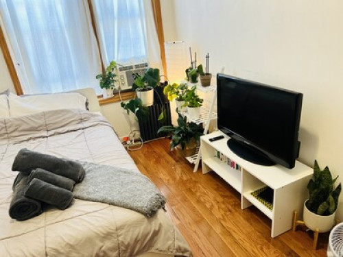 Dreamy Homestay at Brooklyn (日本語可）
