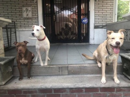Welcome to Brooklyn, New York - Gallery - 8