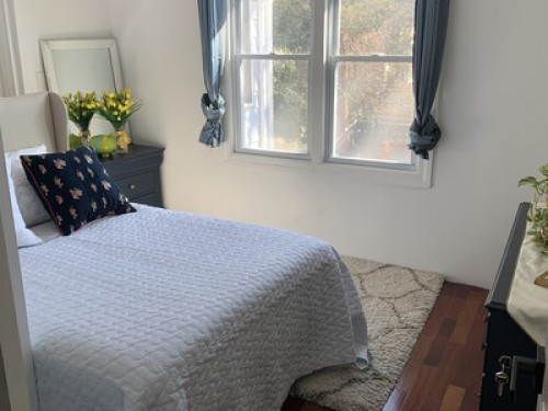 Briarwood, Queens, NY  - Gallery -  5
